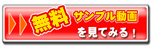 NOZOX,�m�]�b�N�X,NOZOX ����,�m�]�b�N�X �̌�,NOZOX���S��,�m�]�b�N�X ���r���[